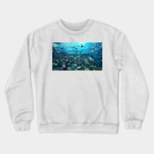 Undersea World Crewneck Sweatshirt